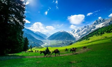 Kashmir